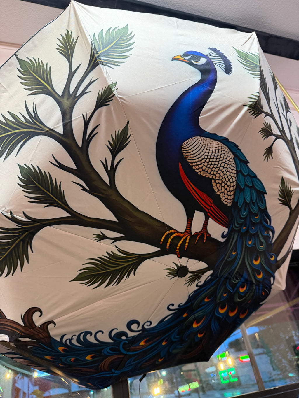 Peacock Umbrella