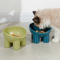Pet Bowl
