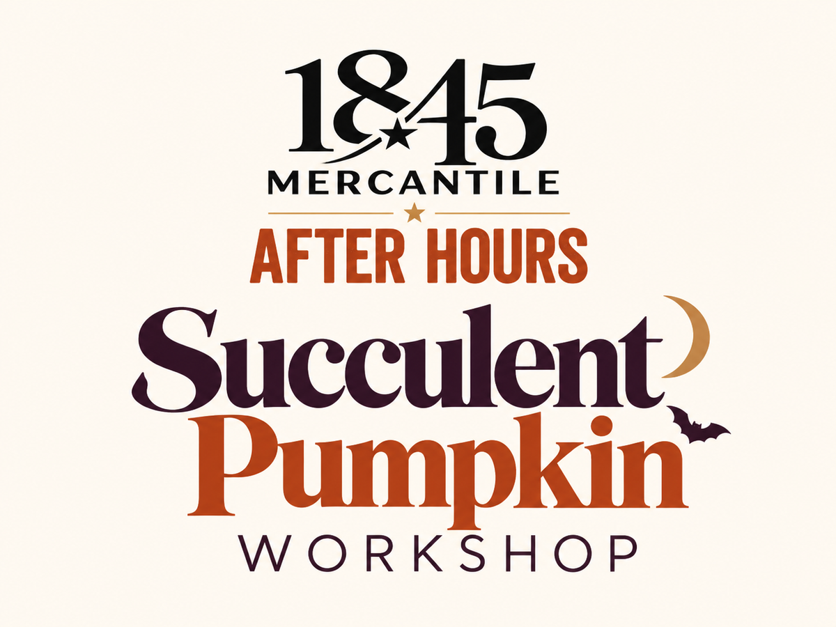 Succulent Pumpkin Workshop